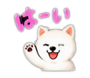 883866102