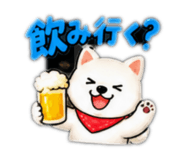 883866109