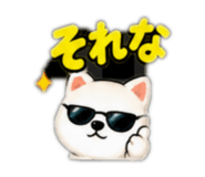 883866116
