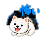883866117