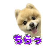 883869340