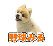 883869345