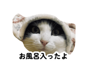 883871724