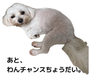 883872741