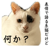 883872744