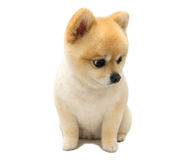 883873110