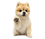 883873112