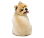 883873116