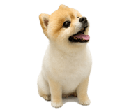883873120