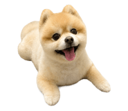 883873127