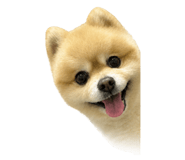 883873128