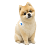 883873134