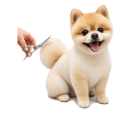 883873136