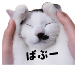 883874633
