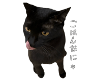 883874788