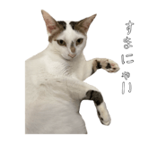 883874803