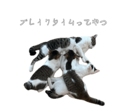 883874807