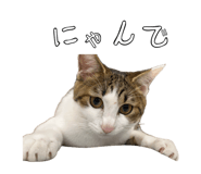 883874814