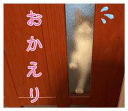 883875164