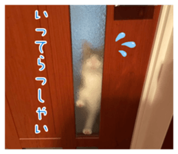883875168