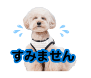 883885925