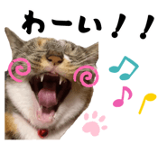 883887177
