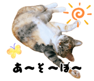883887184