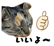 883887186