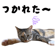 883887190