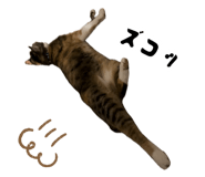 883887194