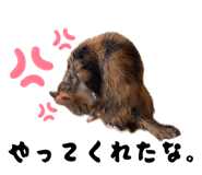883887197