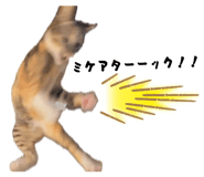 883887198