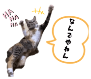 883887200