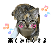 883887208