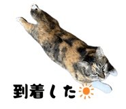 883887212