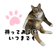 883887213