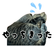 883887271