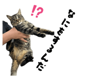 883887278
