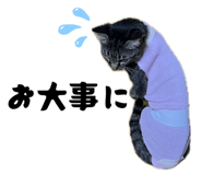 883887279