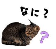 883887287