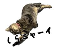 883887292