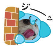 883890239