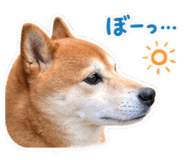 883890539