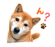 883890541