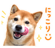 883890549