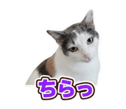 883916723