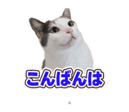 883916726