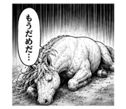 883925041