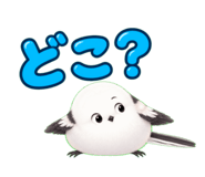 883928967