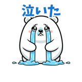 883943571